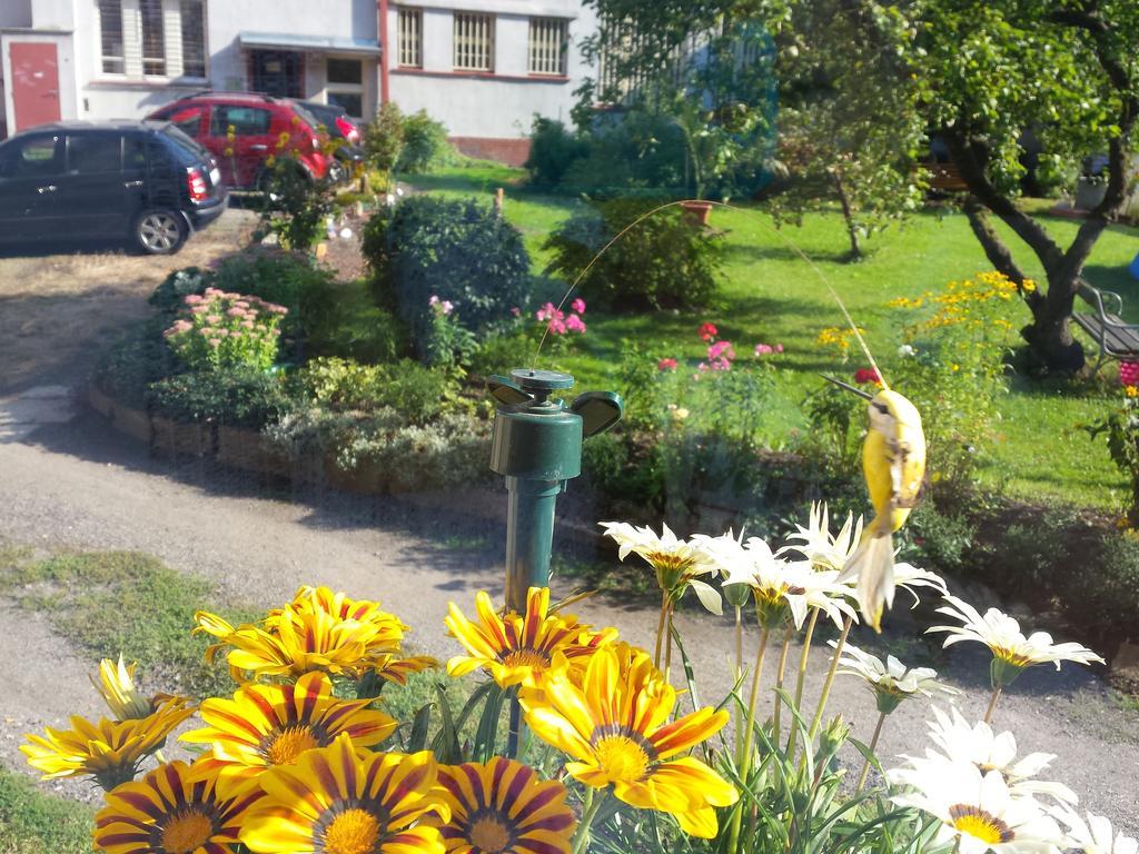 Apartment Anna Cesky Dub المظهر الخارجي الصورة